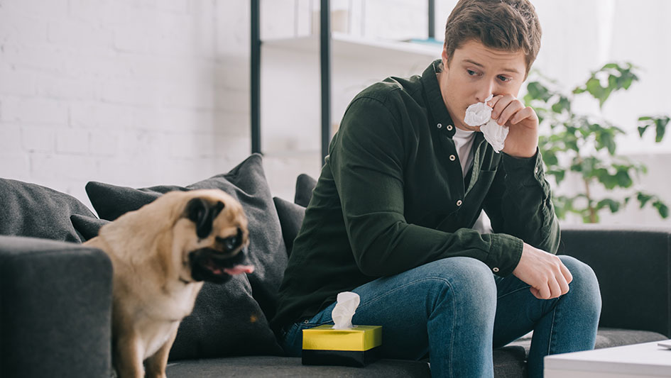 Purchasing an air purifier is one of the wisest approaches to boost your home’s indoor air quality. Learn more about the three best options. 